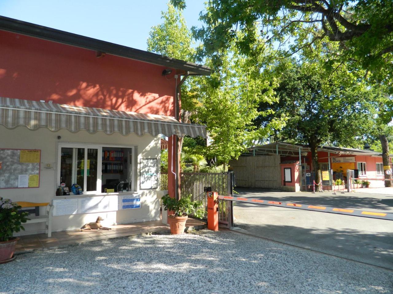 Camping Oasi Marina di Massa Eksteriør bilde